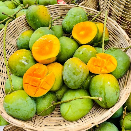 সাতক্ষীরার কেমিক্যালমুক্ত হিমসাগর আম